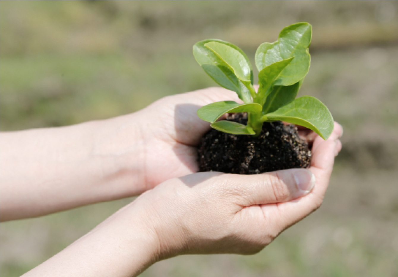 Environment 環境への取り組み