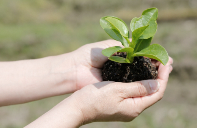 Environment 環境への取り組み