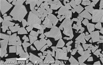 走査型電子顕微鏡（SEM）で確認する組成。